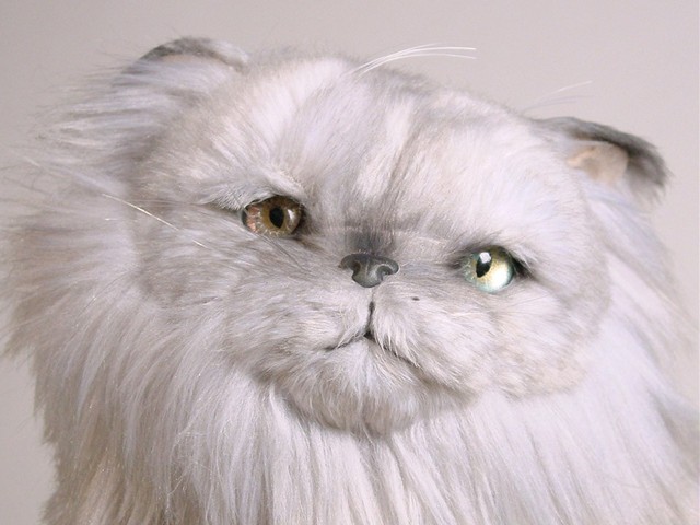 The Sleeping Swans >> PERSIAN (SILVER) - Piutrè The Sleeping Swans >> PERSIAN (SILVER) - Piutrè